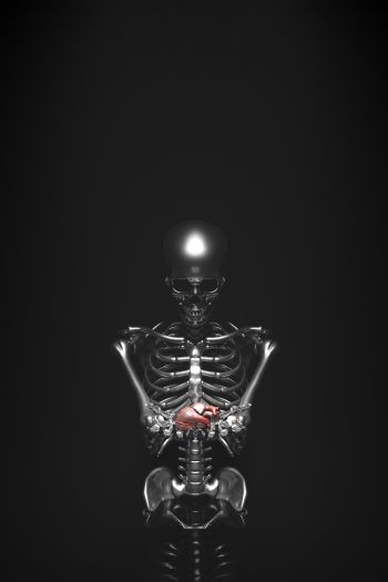 skeleton, 3D modeling Wallpaper 640x960