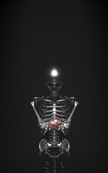 skeleton, 3D modeling Wallpaper 1752x2800