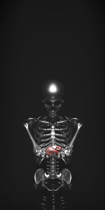 skeleton, 3D modeling Wallpaper 720x1440