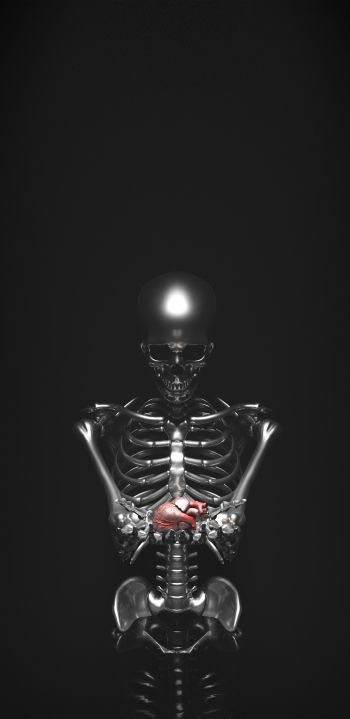 skeleton, 3D modeling Wallpaper 1440x2960