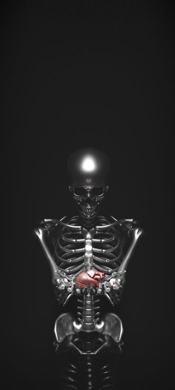 skeleton, 3D modeling Wallpaper 720x1600
