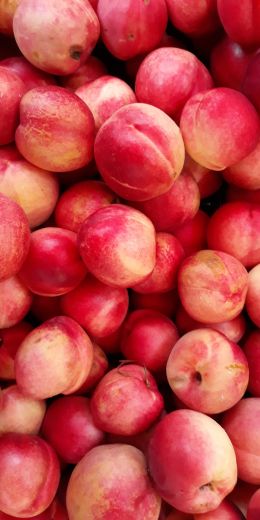 peach, fruit Wallpaper 720x1440