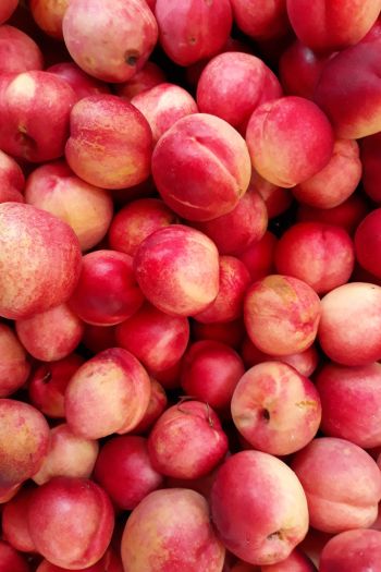 peach, fruit Wallpaper 640x960