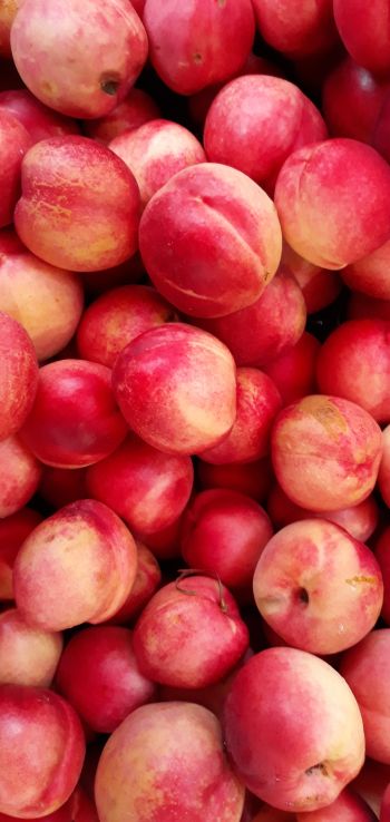 peach, fruit Wallpaper 1080x2280