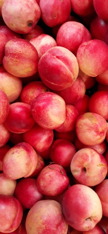peach, fruit Wallpaper 1242x2688