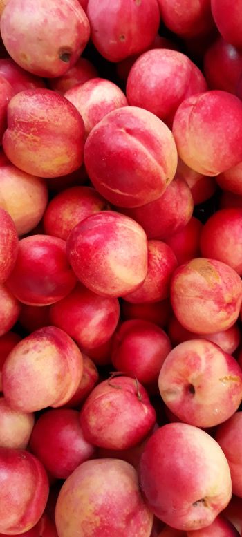 peach, fruit Wallpaper 1080x2400