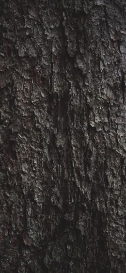 tree bark Wallpaper 1080x2340