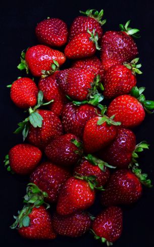 strawberry, berry Wallpaper 1600x2560