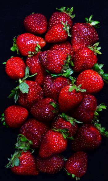 strawberry, berry Wallpaper 1200x2000