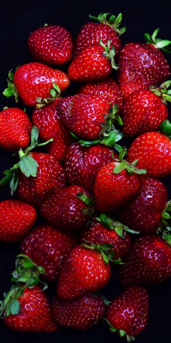 strawberry, berry Wallpaper 720x1440
