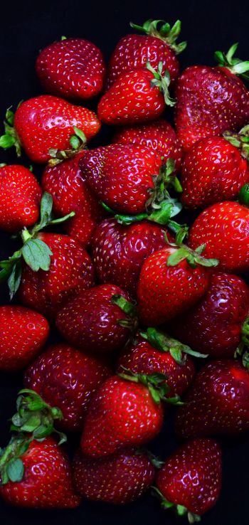 strawberry, berry Wallpaper 1440x3040