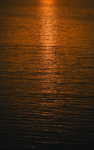 water, sea, sunset Wallpaper 1752x2800