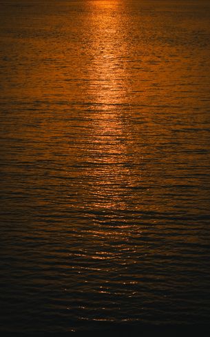 water, sea, sunset Wallpaper 1600x2560