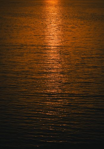 water, sea, sunset Wallpaper 1668x2388