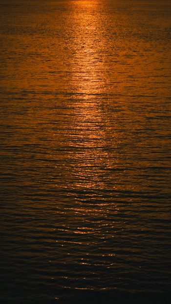 water, sea, sunset Wallpaper 1440x2560