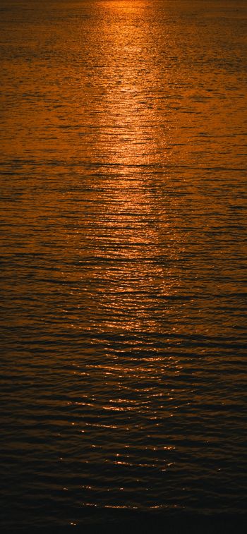 water, sea, sunset Wallpaper 828x1792