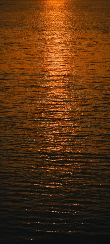water, sea, sunset Wallpaper 1440x3200