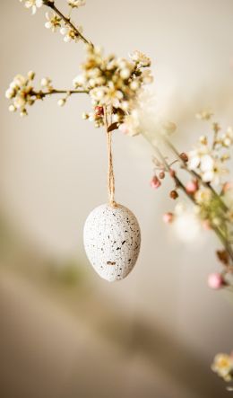 egg, easter Wallpaper 600x1024