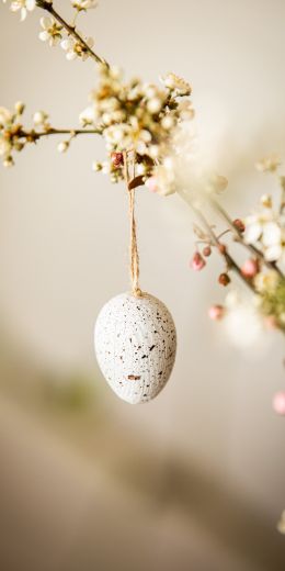 egg, easter Wallpaper 720x1440