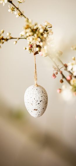 egg, easter Wallpaper 828x1792