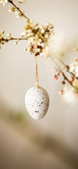 egg, easter Wallpaper 1080x2340