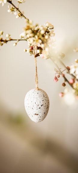 egg, easter Wallpaper 1440x3200