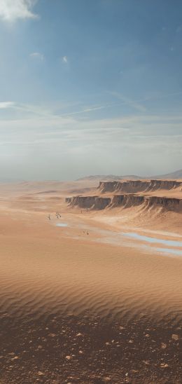 Battlefield 4, desert Wallpaper 1080x2280