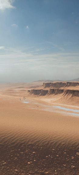 Battlefield 4, desert Wallpaper 1440x3200