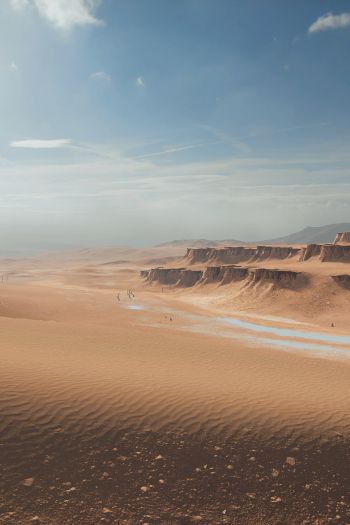 Battlefield 4, desert Wallpaper 640x960