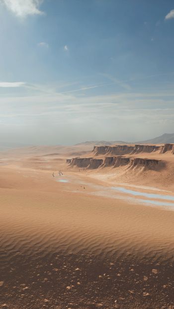 Battlefield 4, desert Wallpaper 640x1136