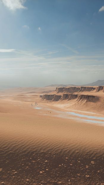 Battlefield 4, desert Wallpaper 1440x2560