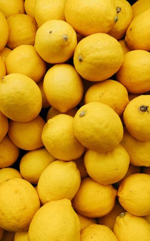 lemon, fruit Wallpaper 1600x2560