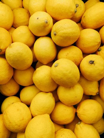 Обои 2048x2732 лимон, фрукт