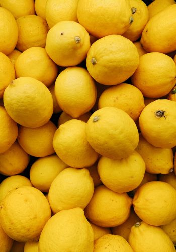 Обои 1640x2360 лимон, фрукт