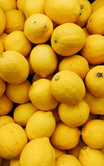 Обои 1600x2560 лимон, фрукт