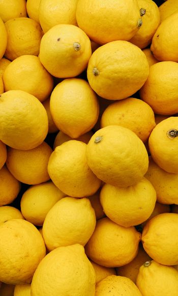 Обои 1200x2000 лимон, фрукт