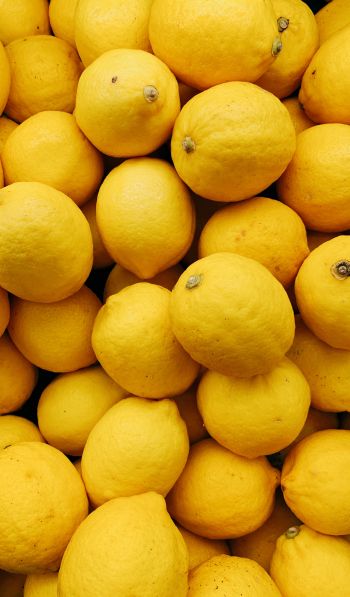 Обои 600x1024 лимон, фрукт