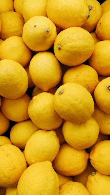 Обои 640x1136 лимон, фрукт