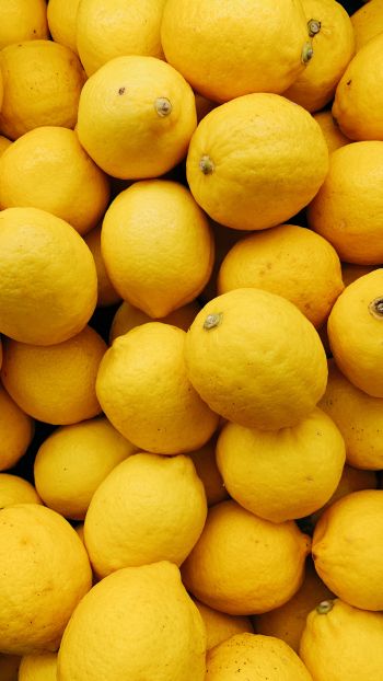 Обои 1440x2560 лимон, фрукт