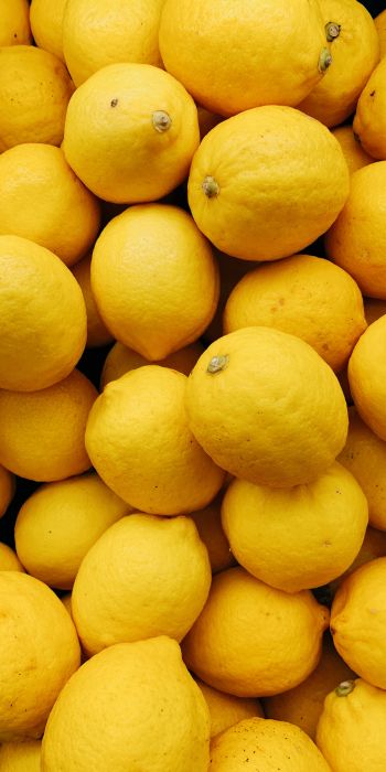 Обои 720x1440 лимон, фрукт
