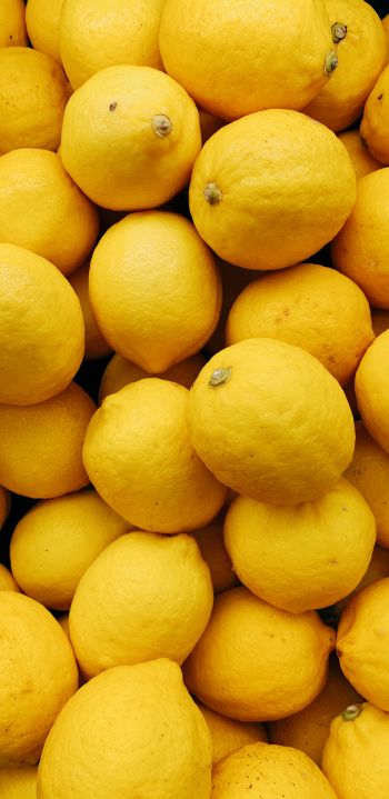 Обои 1080x2220 лимон, фрукт