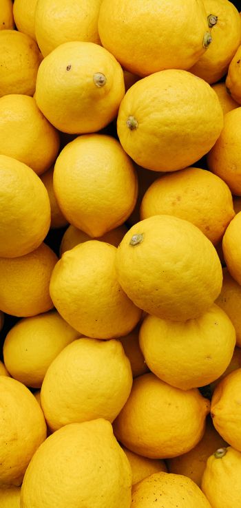 Обои 1440x3040 лимон, фрукт