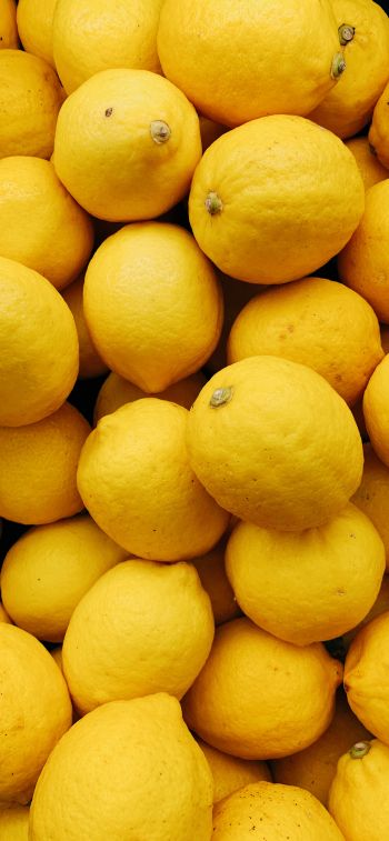 Обои 1242x2688 лимон, фрукт