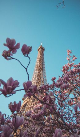 eiffel tower, Paris, France Wallpaper 600x1024