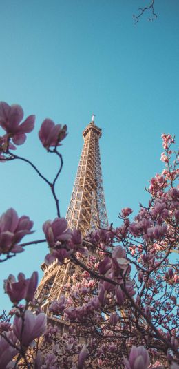 eiffel tower, Paris, France Wallpaper 1080x2220