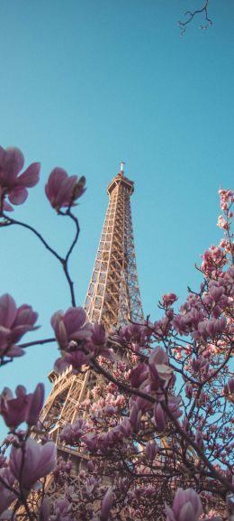 eiffel tower, Paris, France Wallpaper 720x1600