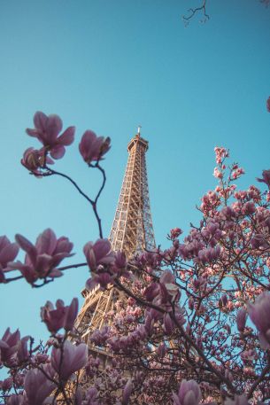 eiffel tower, Paris, France Wallpaper 640x960