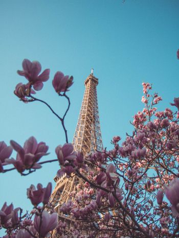 Обои 1620x2160 Эйфелева башня, Париж, Франция