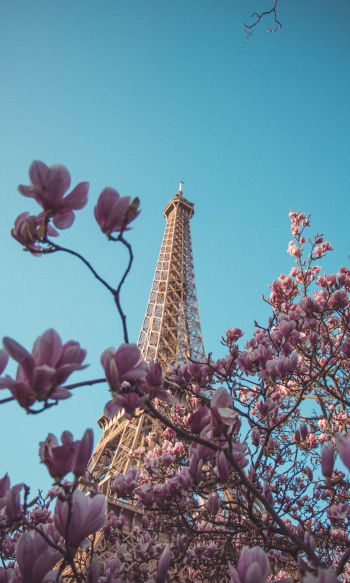 Обои 1200x2000 Эйфелева башня, Париж, Франция