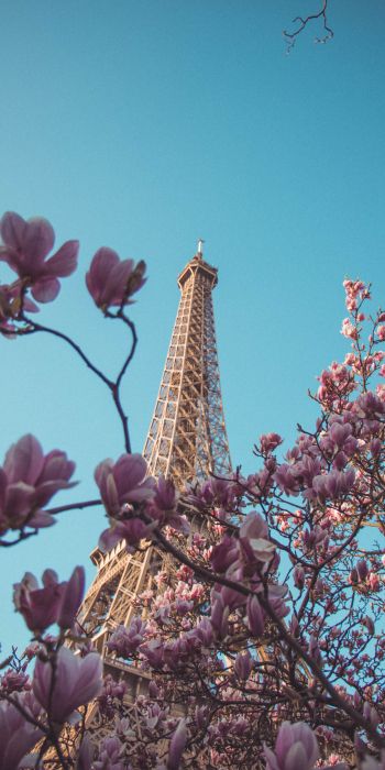 Обои 720x1440 Эйфелева башня, Париж, Франция